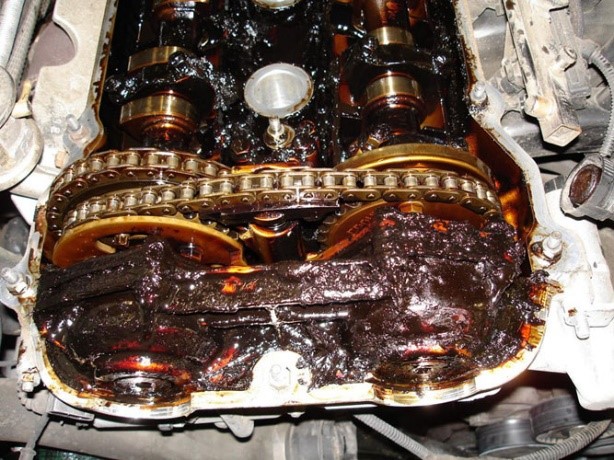 Timing Chain Sludge